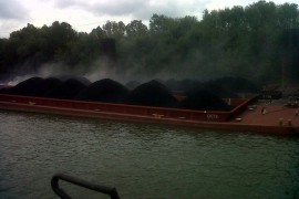 UNTREATED COAL